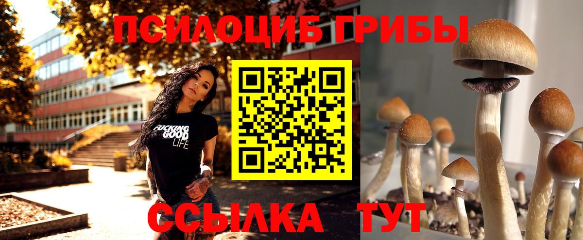 Псилоцибиновые грибы GOLDEN TEACHER Елизово